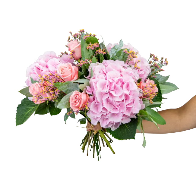 Bouquet of hydrangea